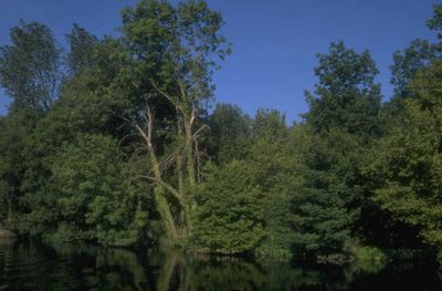 Kliknite pre zobrazenie veľkého obrázka