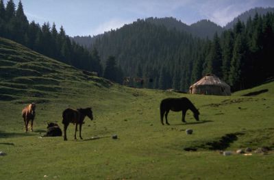 Kliknite pre zobrazenie veľkého obrázka