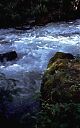 P029A040.JPG